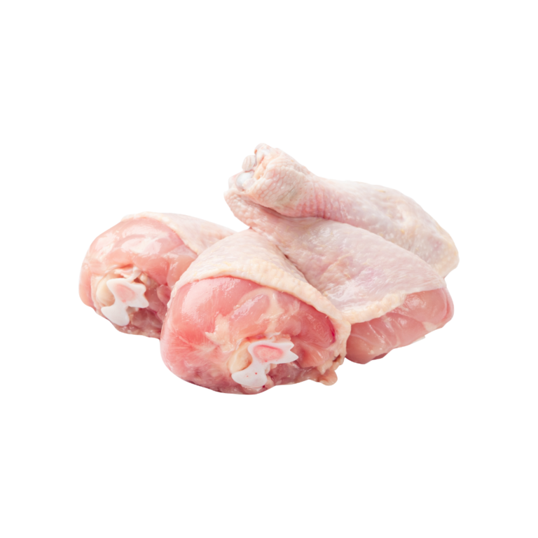 Ayam